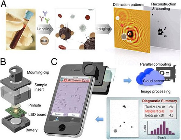 Hyungsoon Im et al./PNAS